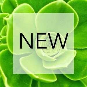 Check out these new listings!